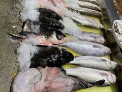 -健眺小海鲜(临海后山店)