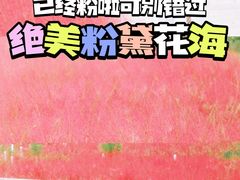 -沉浸北京·团建旅行·密室剧本杀·年会会议轰趴拓展