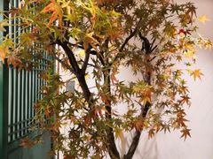 -香雪海·蘇面館(湖滨店)