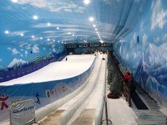 -世界之窗阿尔卑斯冰雪世界