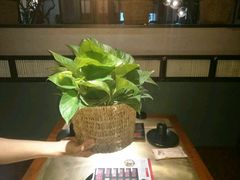 -手选潮汕鲜活牛肉火锅(二七广场店)