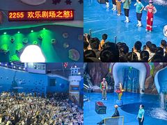 -烟台海昌鲸鲨海洋公园