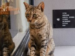 -转山咖啡(松柏社区店)