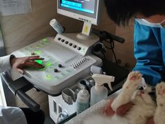 -安安宠医·安宠宠物医院