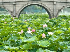 -重元寺香积厨素斋馆