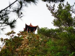-燕窝岭