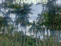 -中国科学院西双版纳热带植物园