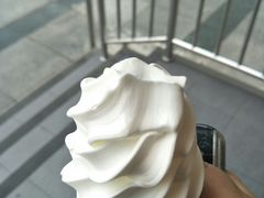 -麦当劳(石家庄北国店)