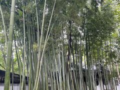 -秋霞圃