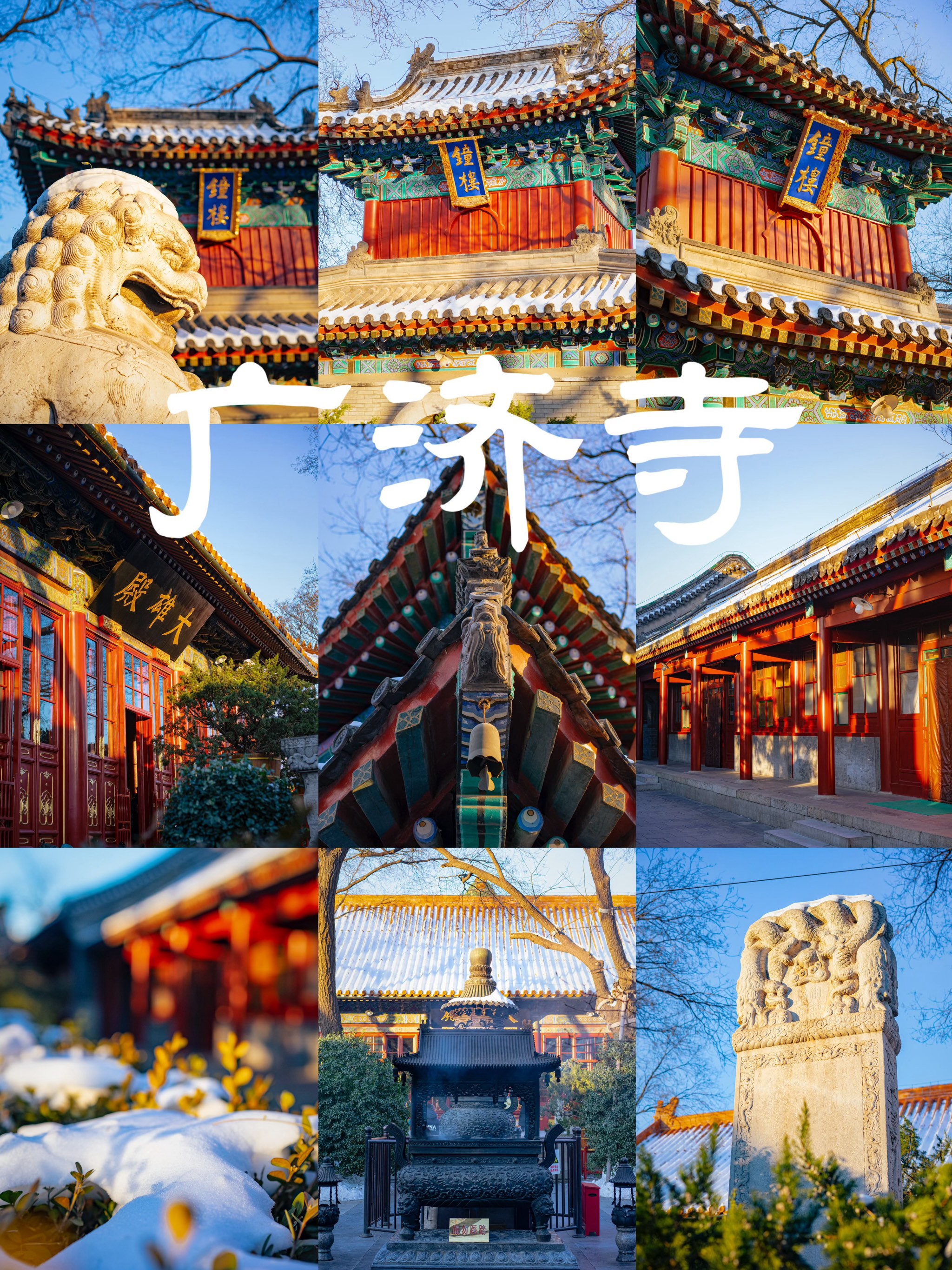 广济寺门票图片