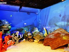 -上海动漫博物馆