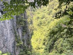 -恩施大峡谷