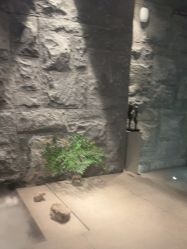 -美壹生皮肤管理中心
