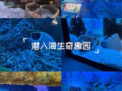 -横店影视城梦幻谷园区