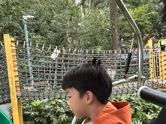 -杭州少年儿童公园