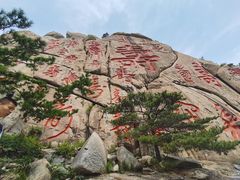 -崂山仰口游览区
