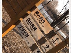 -东郊湿地公园