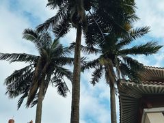 -海口市博物馆