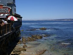 -Fish Hopper