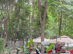 -二荆条·蜀鲜汇城市森林火锅