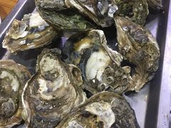 -大富蚝乌东哥饭店·石锅鱼杂·柠檬鸭(革新路店)