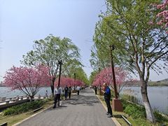 -南北湖风景区