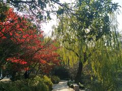 -苏堤停车场
