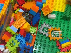 -醉得意·山茶油炒土鸡(莆田仙游方圆荟店)