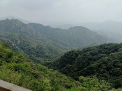 -大岭沟猕猴桃谷风景区
