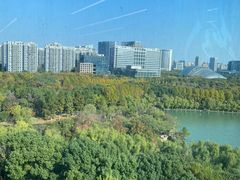 -天鹅湖体育公园