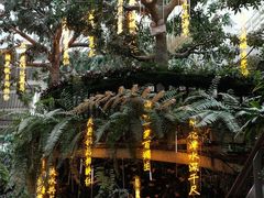 -正佳雨林生态植物园