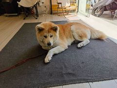 -YCHL Studios健身工作室(市二宫店)