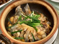 生焗钳鱼煲-大唐靓汤江门私房菜(景田店)