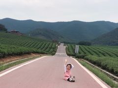 -龙寺生态园