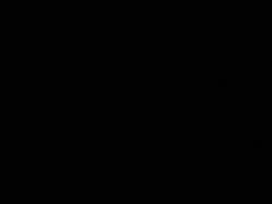 -哈姆雷斯(王府井百货大楼店)