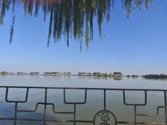 -合肥滨湖国家森林公园