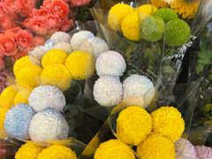 -循礼门鲜花花市(武汉循礼门店)