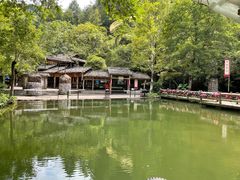 -桂林古东瀑布景区