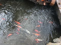 -前童古镇