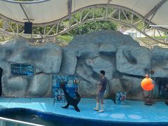 -泉州海丝野生动物世界