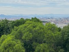 -仙岳公园