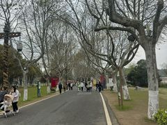 -宜兴龙背山森林公园