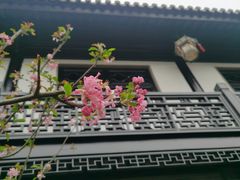 -上海皇廷花园酒店·御宴中餐厅