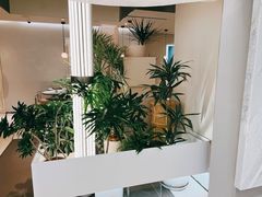 -théATRE 茶聚场(王府中環店)