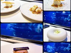 -迪拜帆船酒店海底餐厅