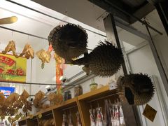 -大澳渔村及棚屋