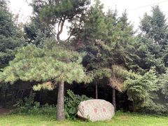 -黑龙江省森林植物园