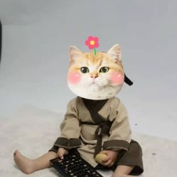 -京尚映画摄影