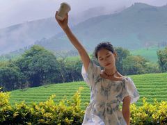 -白茶原·一片叶子