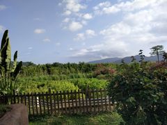 -亚龙湾国际玫瑰谷